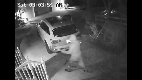 Surveillance video: Auto burglary on Carbonata Drive in Alva, Florida