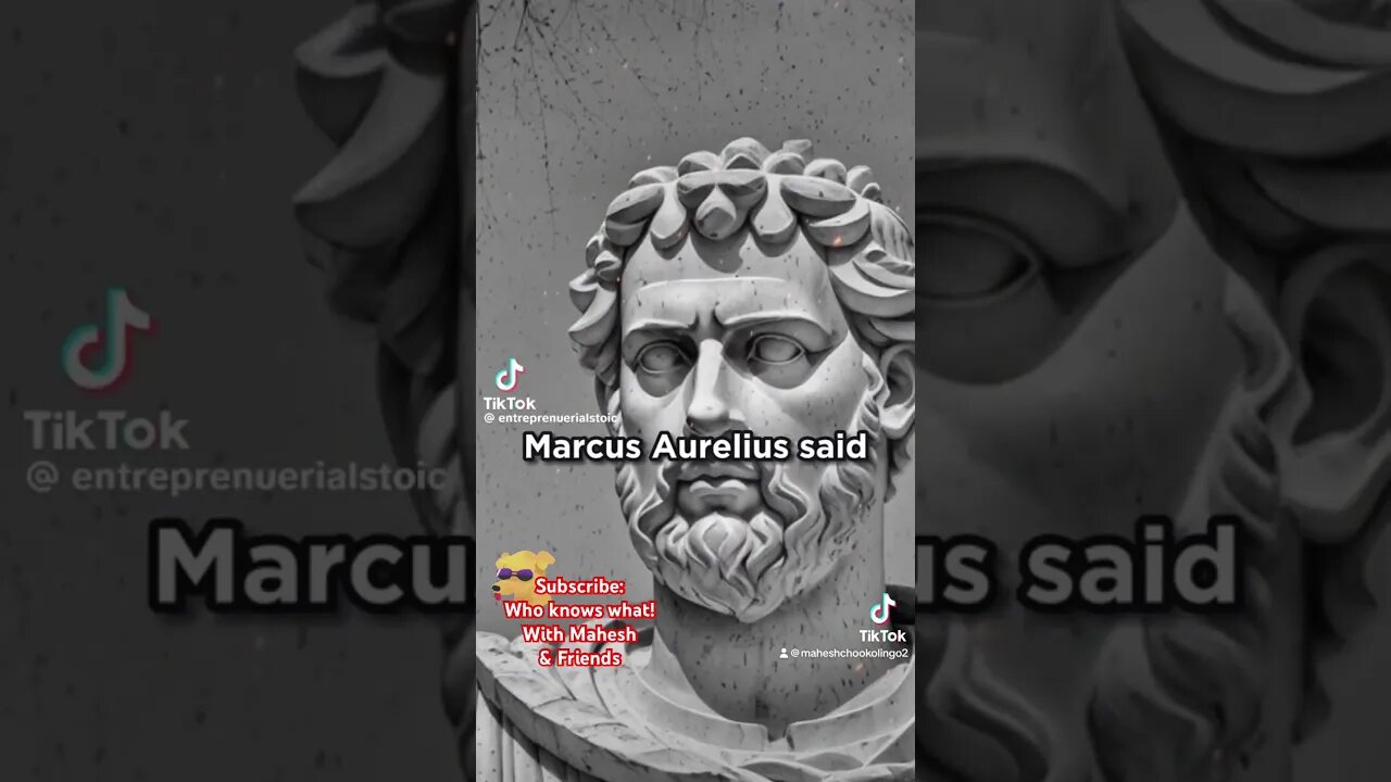 #wakeup #stoicism #lifestyle #chookolingo