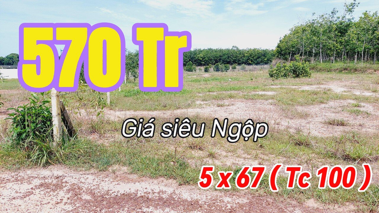 Đất Dầu Tiếng | Thêm một lô 5 x 67 ( tc 100) ngộp ná thở nũa anh em giá rẽ #561