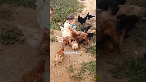 Vida na Roça! Quem ai gosta dessa vida também? #brasil