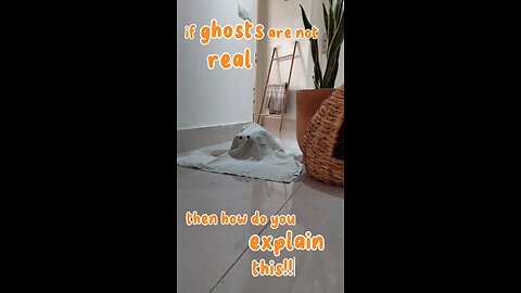 Ghosts are real 👻🐾🙀