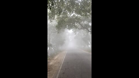 fog