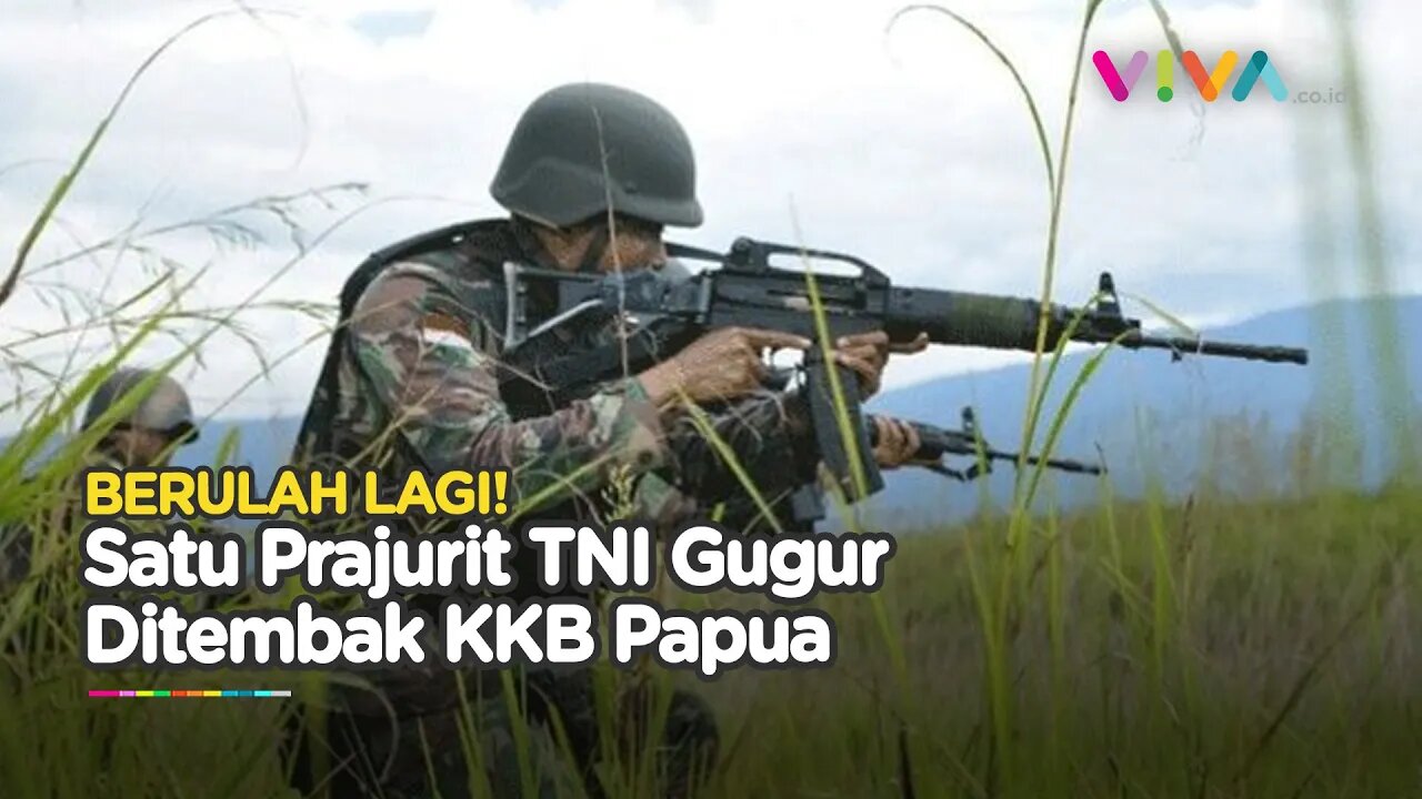 KONTAK TEMBAK! Anggota TNI Gugur Tertembak Peluru KKB di Papua