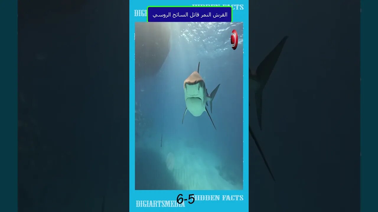 5 +6 القرش النمر قاتل السائح الروسي