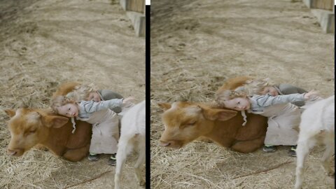 Baby has the sweetest reaction to cow