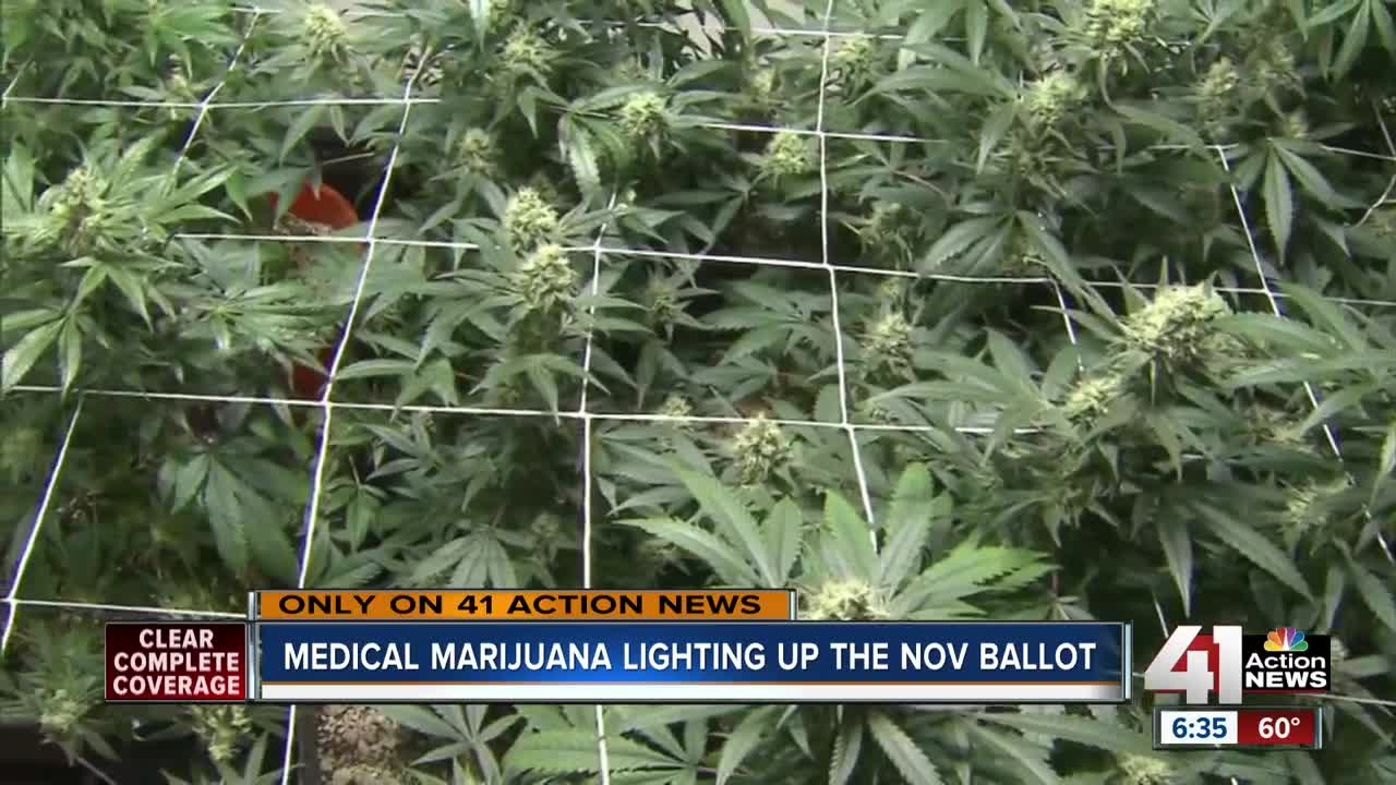 Voters split on medical marijuana proposals