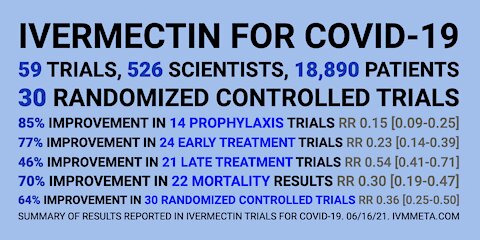 Chloroquine and Hydroxychloroquine and Ivermectin. Testimony in the Senate.