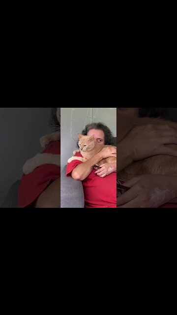 Blink and You'll Miss It