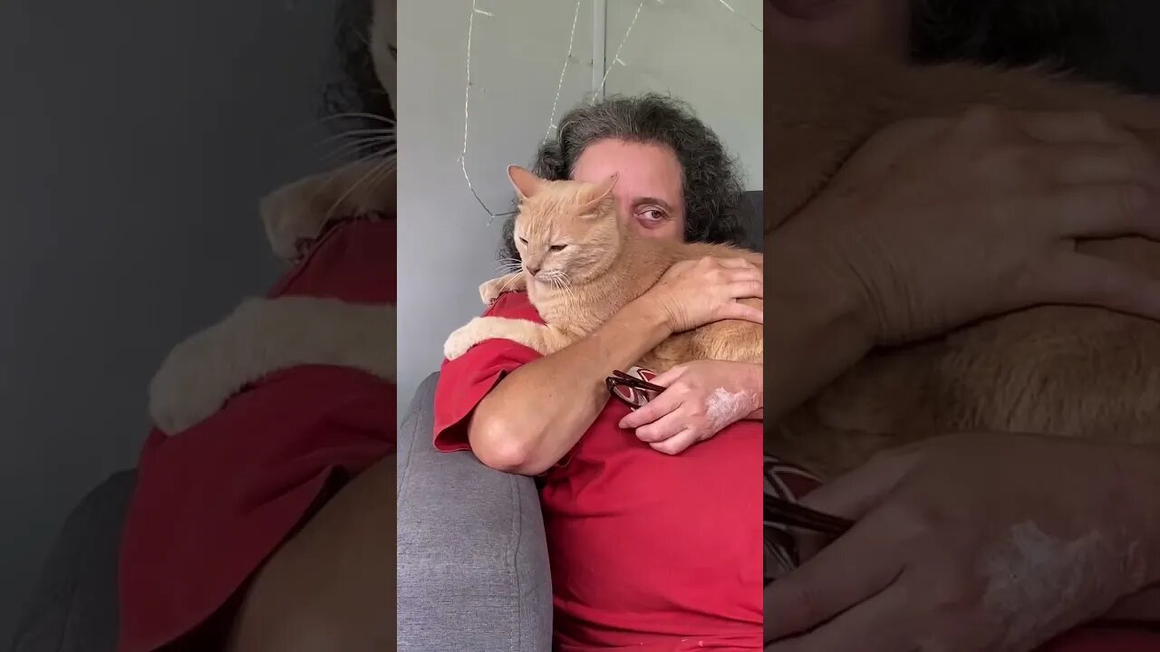 Blink and You'll Miss It