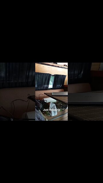 Relaxing day down at the Lake. #vanlife #shorts