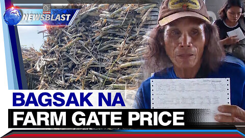 Mga magsasaka sa Negros Occidental, umaaray sa bagsak-presyo ng asukal ngayong anihan