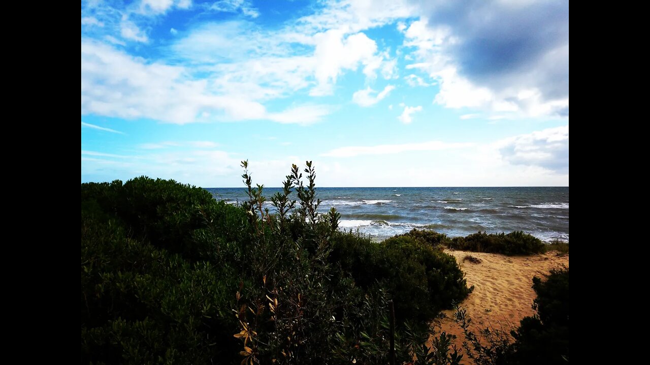 A Dreamy Late Fall Ocean Contemplation