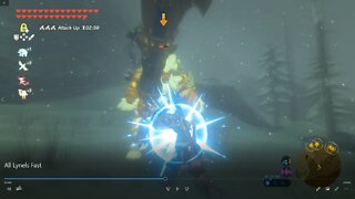 Terminate All Lynels... but Quicker