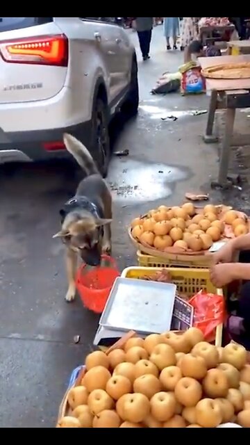 Funny video #short 🔥