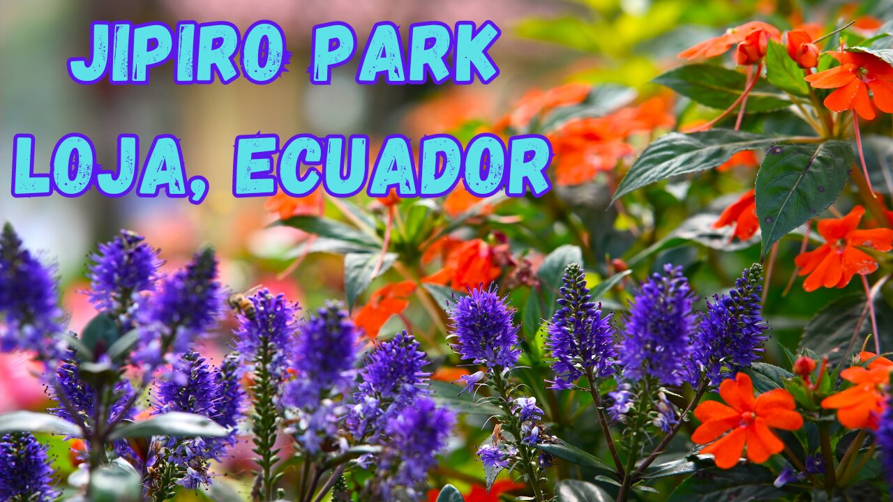 Jipiro Park Loja, Ecuador