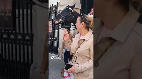 Four funny moments with the kings guards #horseguardsparade