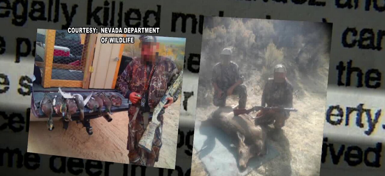 Clark County Commission agrees to ban wildlife killing contests