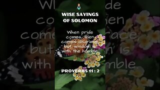 Wise Sayings of Solomon | Proverbs 11:2