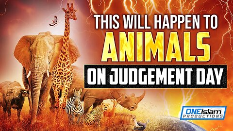 THIS WILL HAPPEN TO ANIMALS ON JUDGEMENT DAY