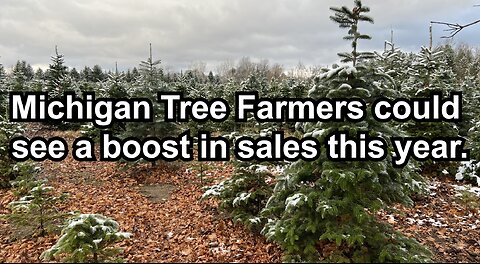 Michigan Tree Farmers could see a boost in sales this year.