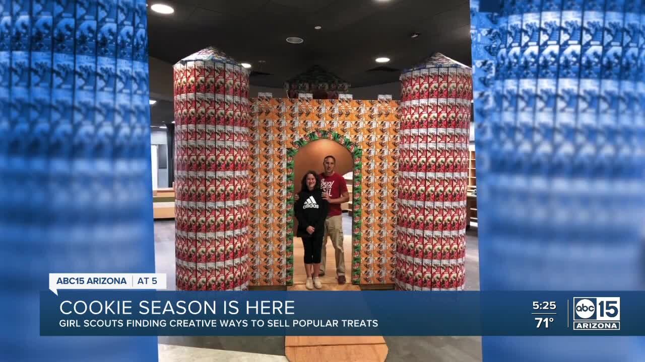 Arizona Girl Scout builds cookie castle: Where to find it