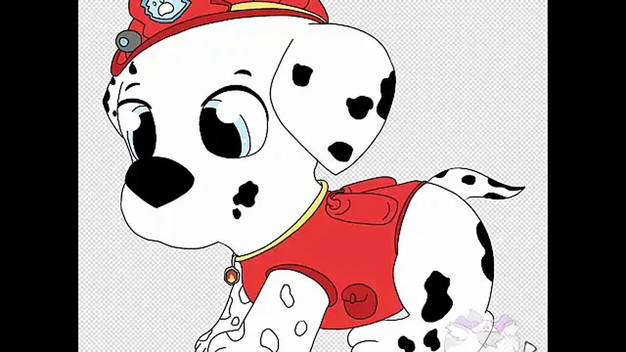 paw patrol