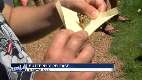 Butterfly Release