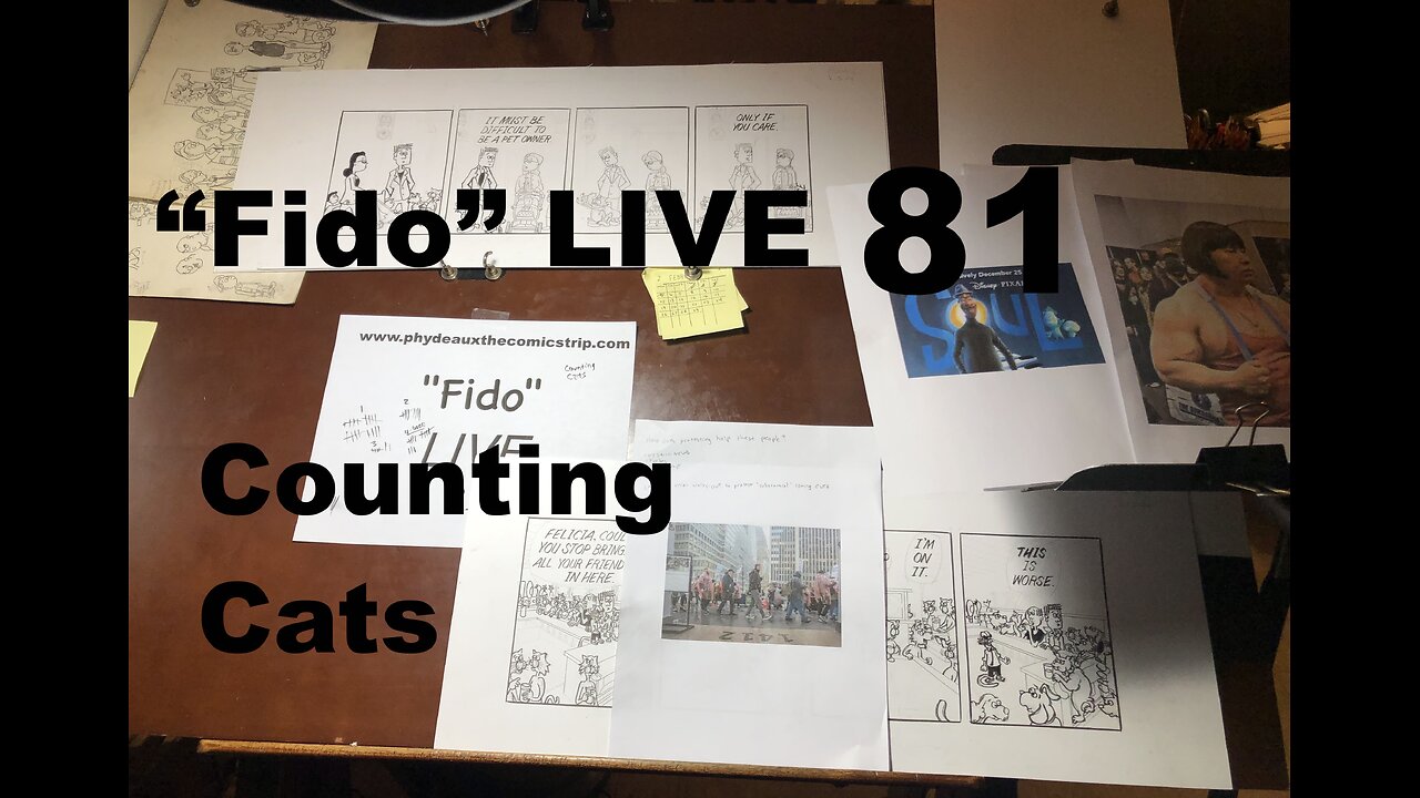 "Fido" LIVE 81: Counting Cats