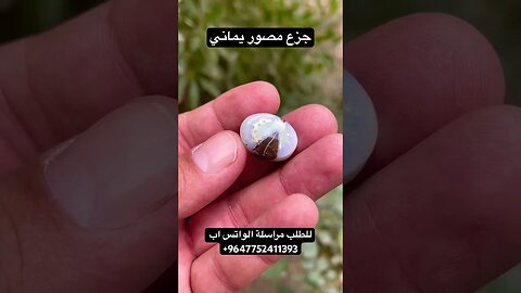 جزع مصور