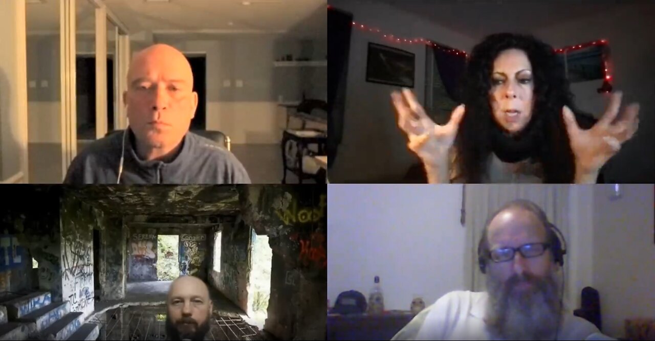 MASS FORMATION PSYCHOSIS a CONVERSATION:: Cat Watters, Mike Nimetz, & cohort Lee the Wayfinder