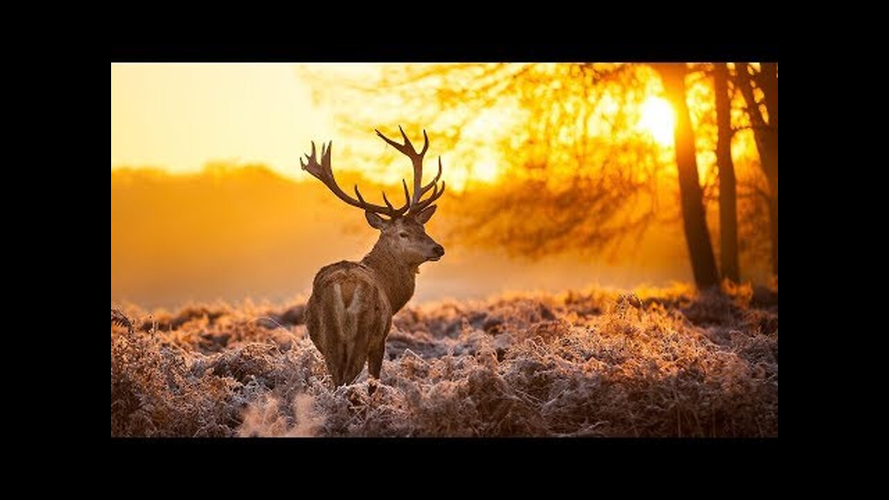 The Breathtaking Beauty of Nature || LOVE Nature