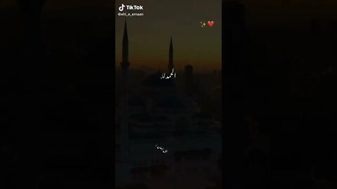 Find 'islamic video status' on TikTok TikTok Search 2