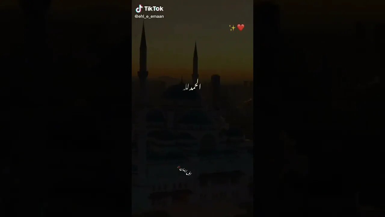 Find 'islamic video status' on TikTok TikTok Search 2