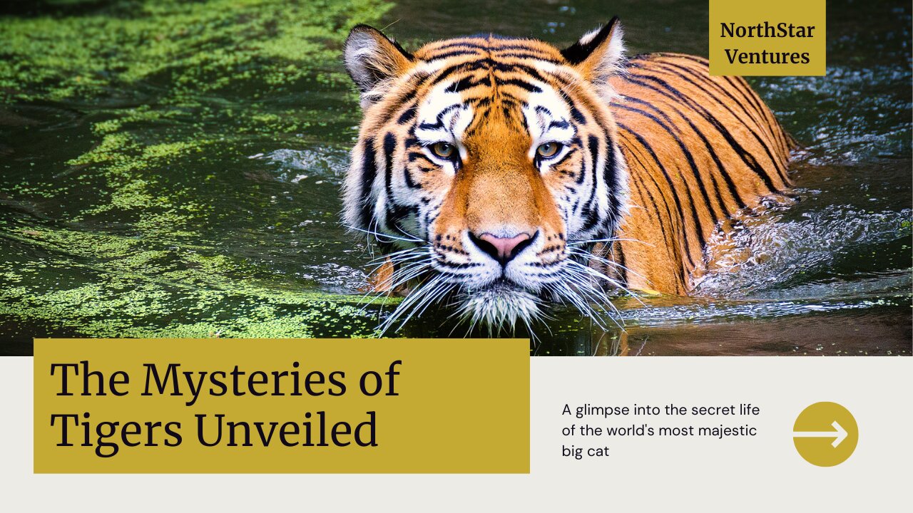 The Majestic World of Tigers: Unveiled Secrets