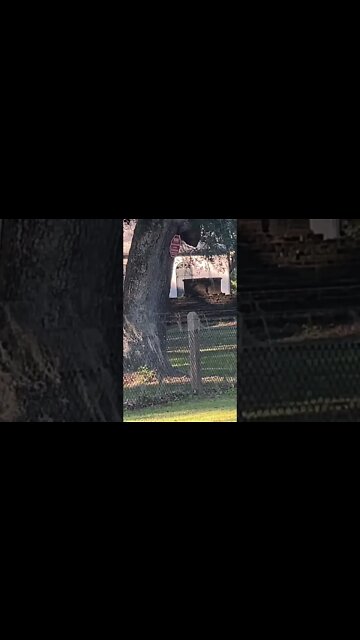 Strawberry Chapel Berkeley Country, SC