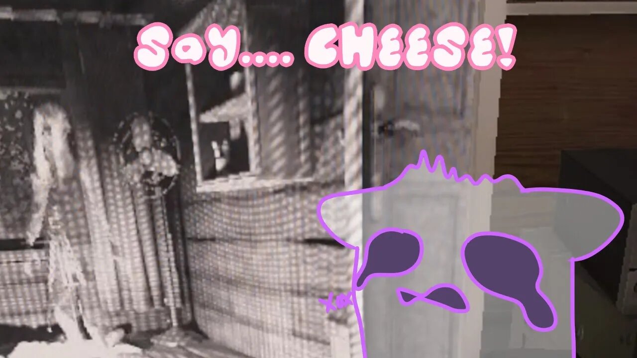 Say CHEESE! It's the Paparazzi challenge in Phasmophobia with NightFlurry!