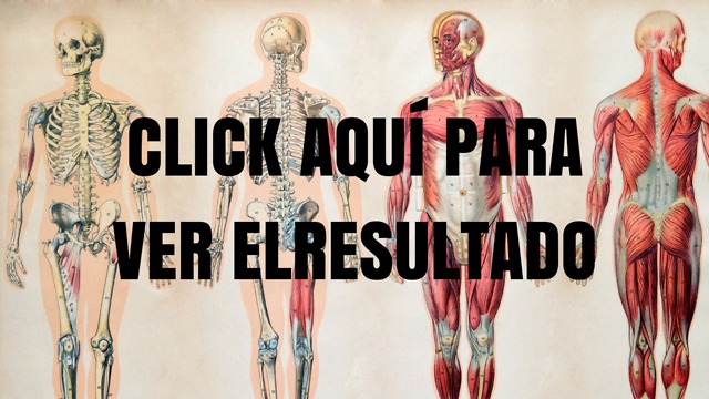 Ponte a Prueba: ¿Conoces El Interior De Tu Cuerpo? -1