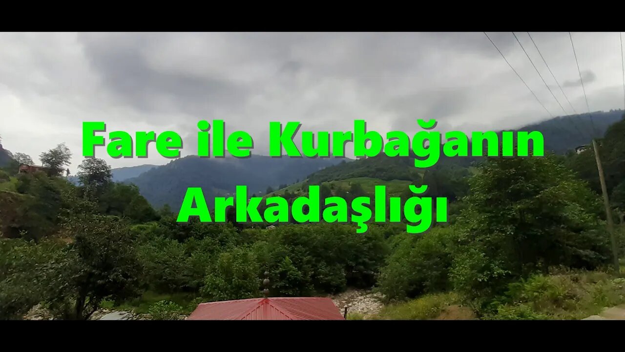 #menkıbe EN GÜZEL MENKIBELERDEN BİR BÖLÜM / "Fare ile Kurbağanın Arkadaşlığı."