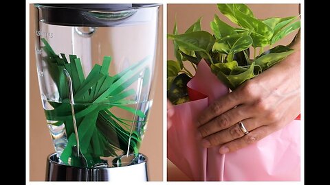 Planting Joy Through 9 Clever and Thoughtful Green Gifts