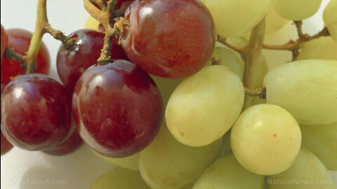 Benefits in brain power, health and longevity of resveratrol