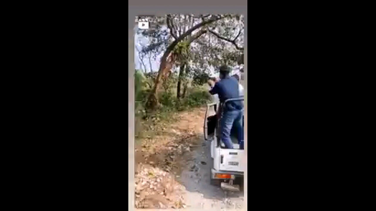 While avoiding the victim, he himself became a victim