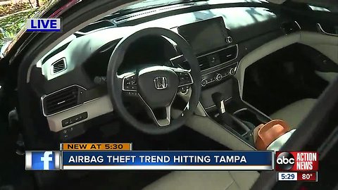 Tampa Police investigate trend of airbags being stolen out of cars