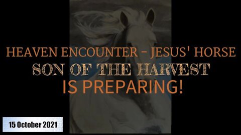 My Heaven Encounter with The Lord Jesus and His Horse! Son of the Harvest Is Preparing! - Annamarie Strawhand