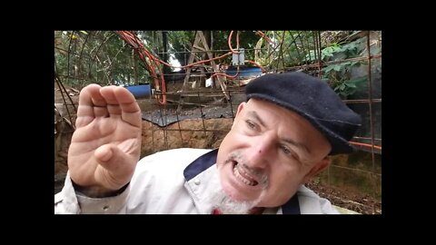 GOOD MORNING YOUTUBE