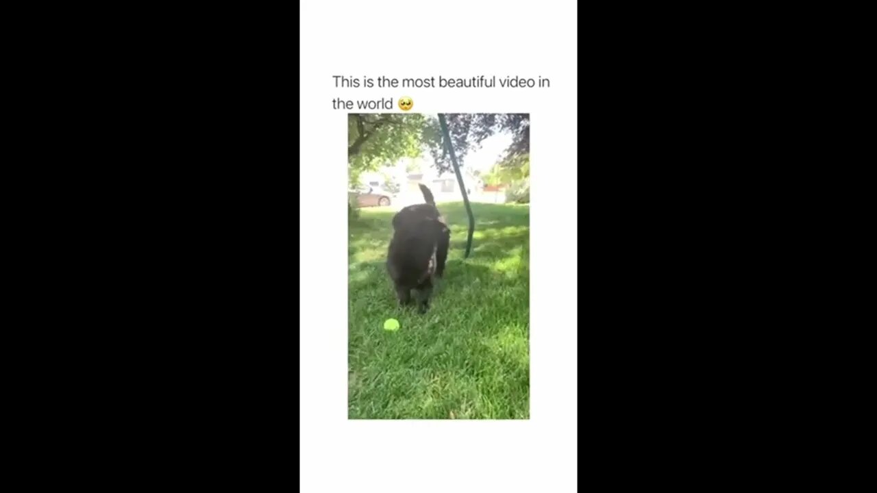 Awww