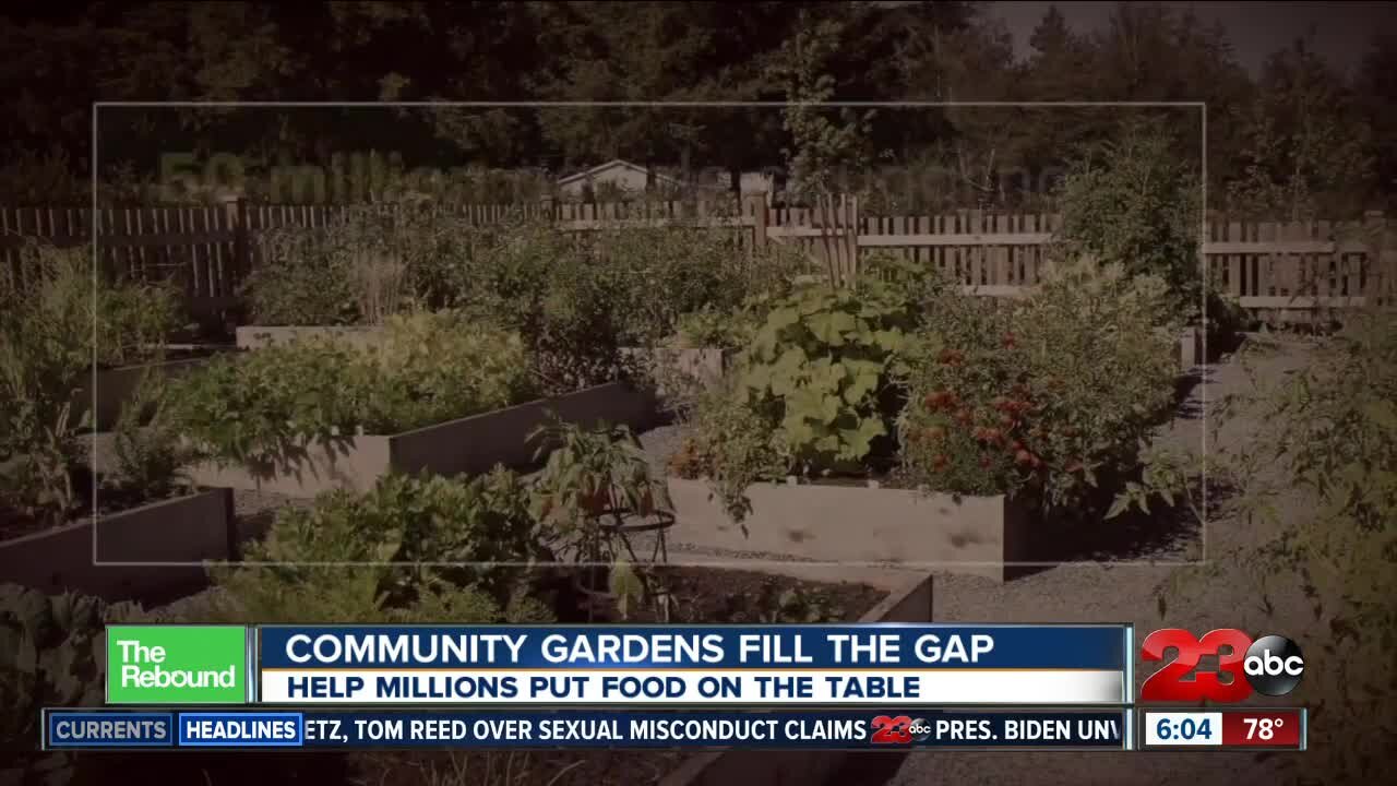 Community gardens are helping millions put food on the table