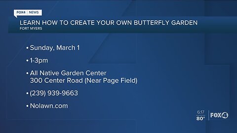 Create your own butterfly garden