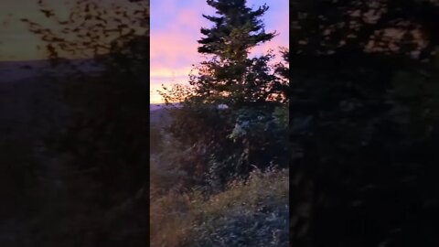 Sunset views from Tuscarora on our evening trail run. #shorts #running #scenic