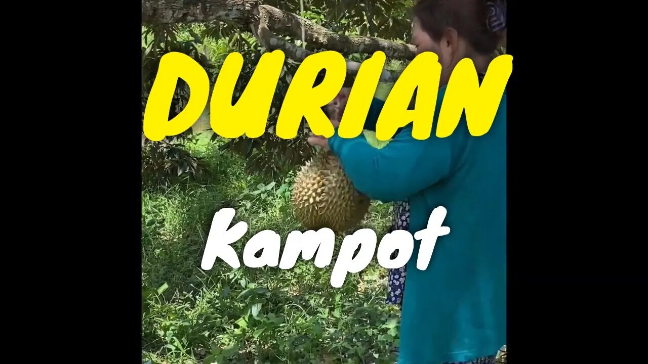 6 Nutritional Benefits of Durian - Organic KAMPOT Durian