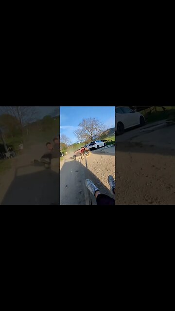 Panda 4x4 vs Ignoranza Romagnola 😳